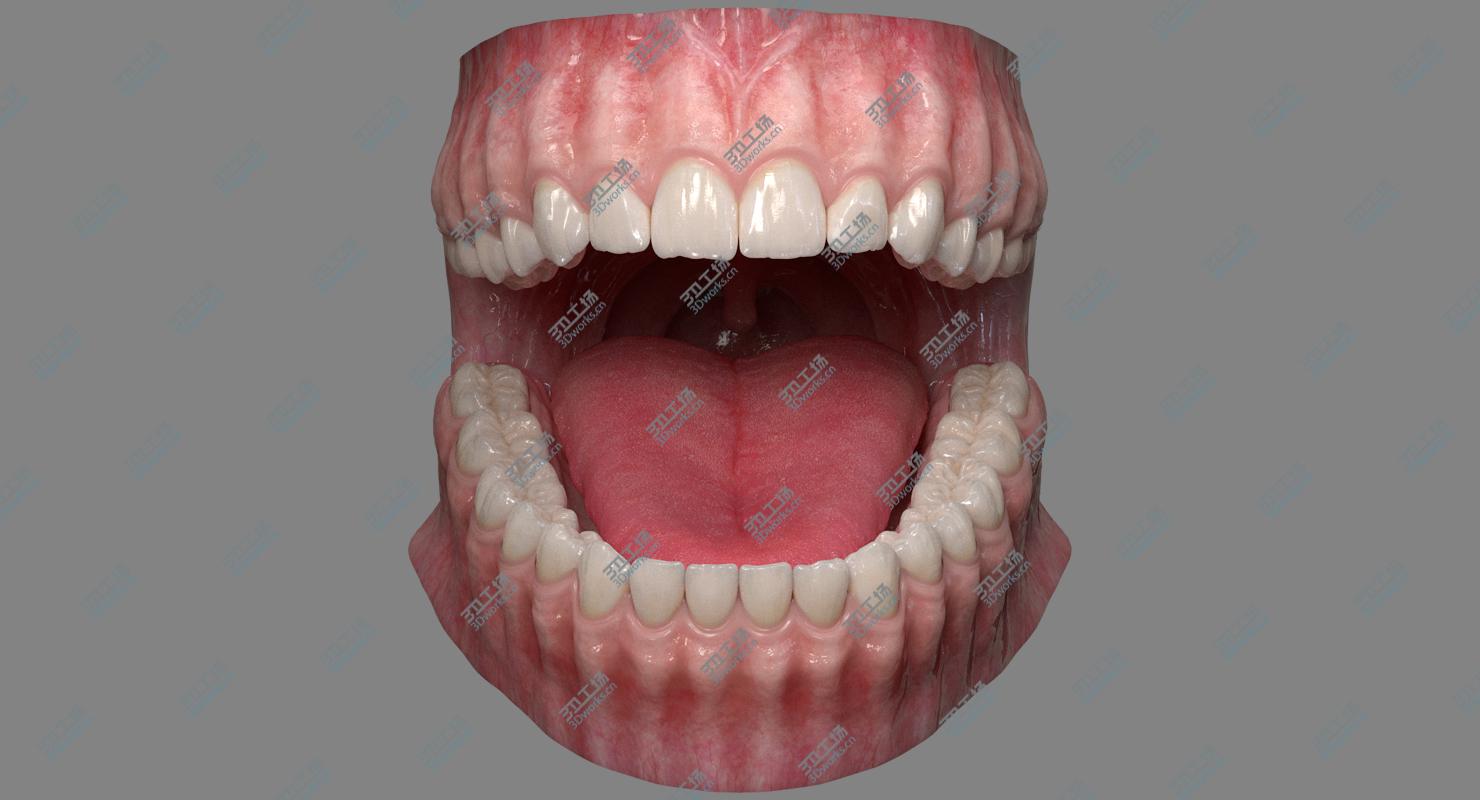 images/goods_img/20210113/Realistic Dental Model With Gums Teeth and Tongue 3D model/2.jpg